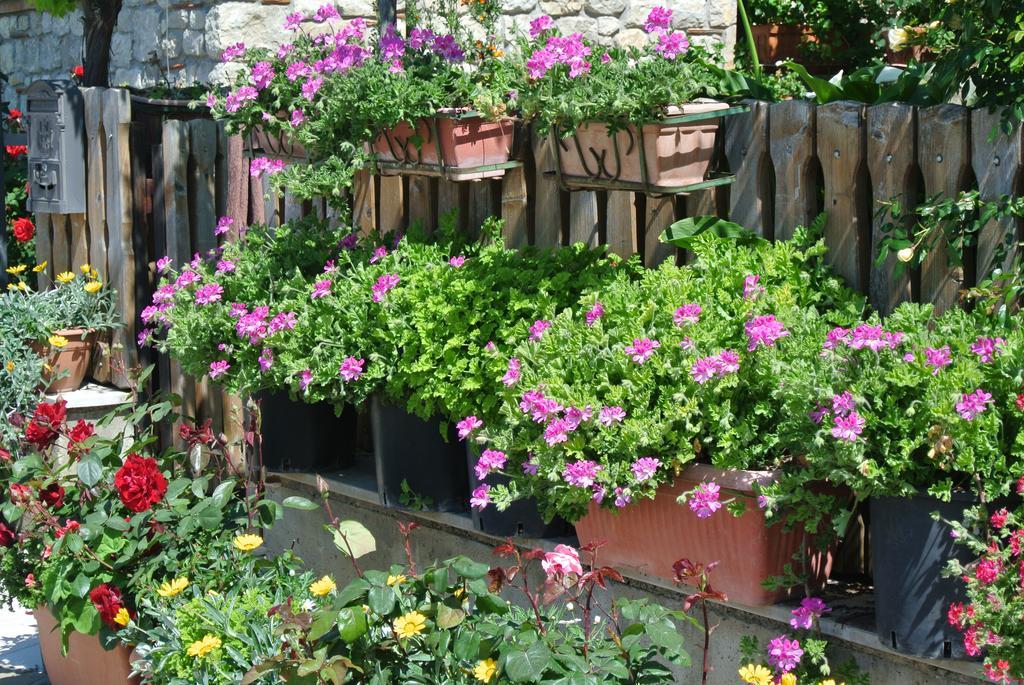 B&B Casa Antonia Trentinara 外观 照片