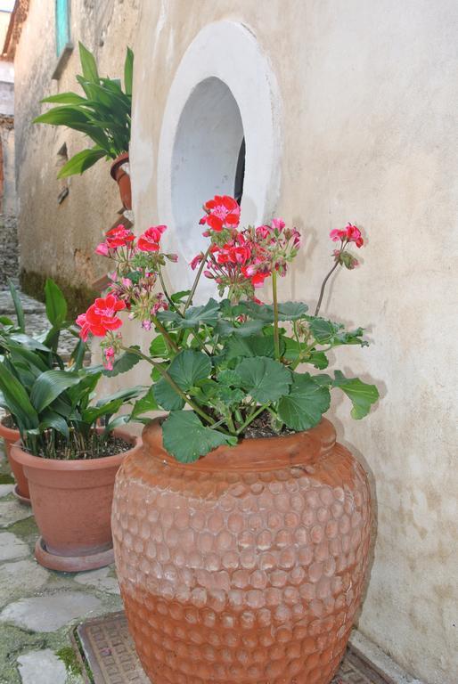 B&B Casa Antonia Trentinara 外观 照片