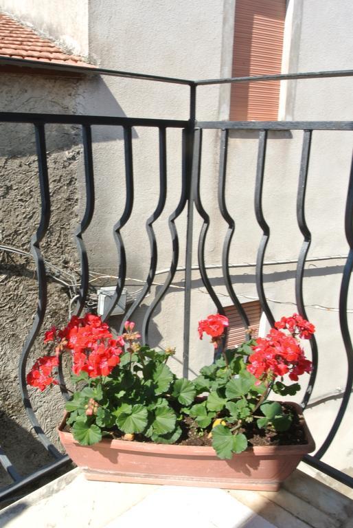 B&B Casa Antonia Trentinara 外观 照片