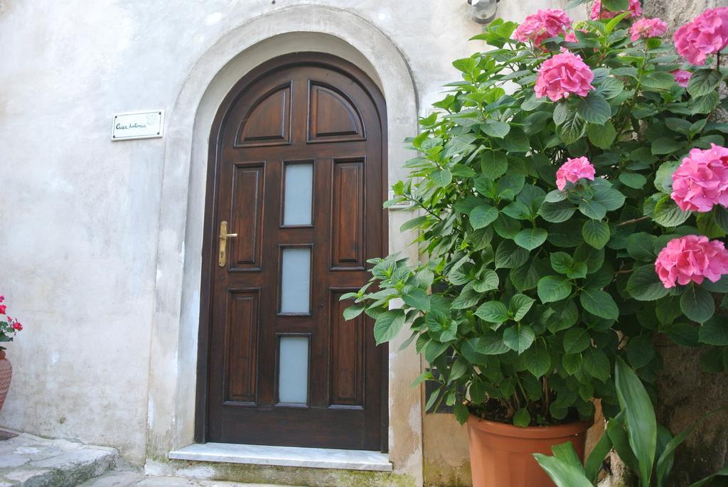 B&B Casa Antonia Trentinara 外观 照片